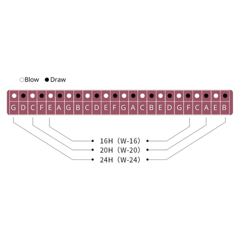 Suzuki Winner 16/20/24 - Holes C Key Tremolo Harmonica 16 Holes ( W-16 W-20 W-24 )