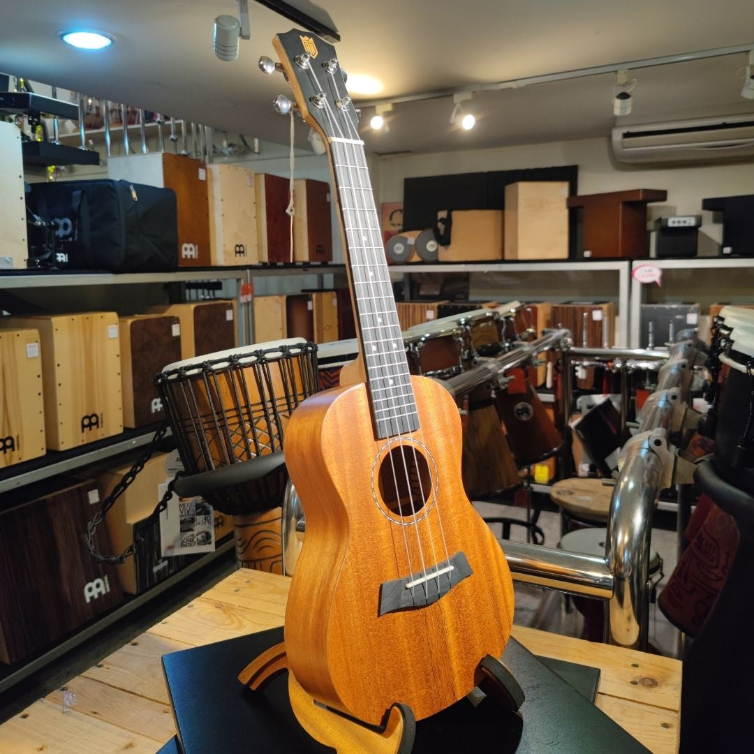 Ukulele shop near me